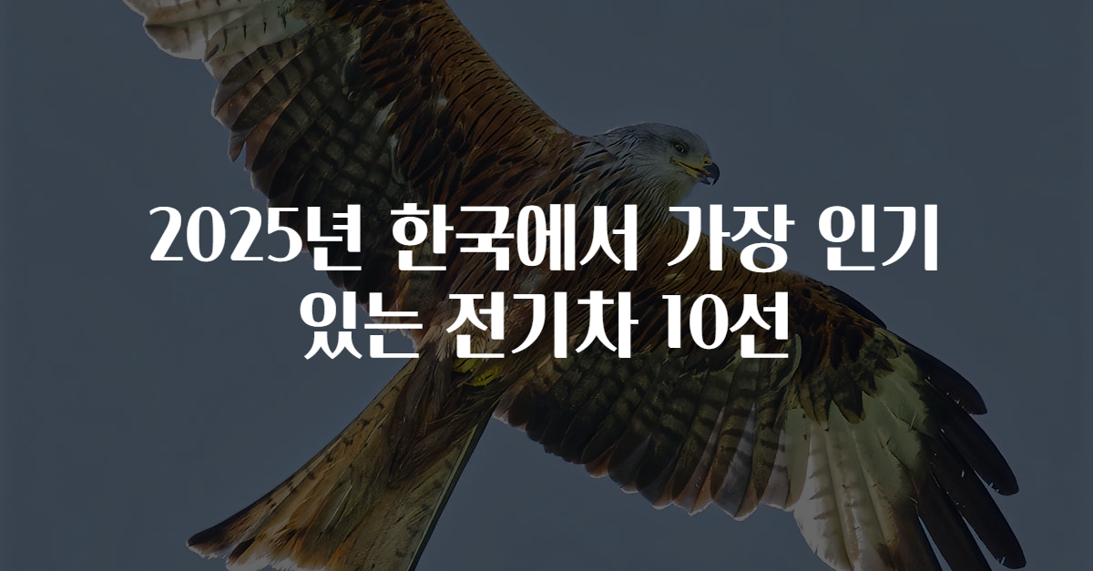 2025년 한국에서 가장 인기 있는 전기차 10선