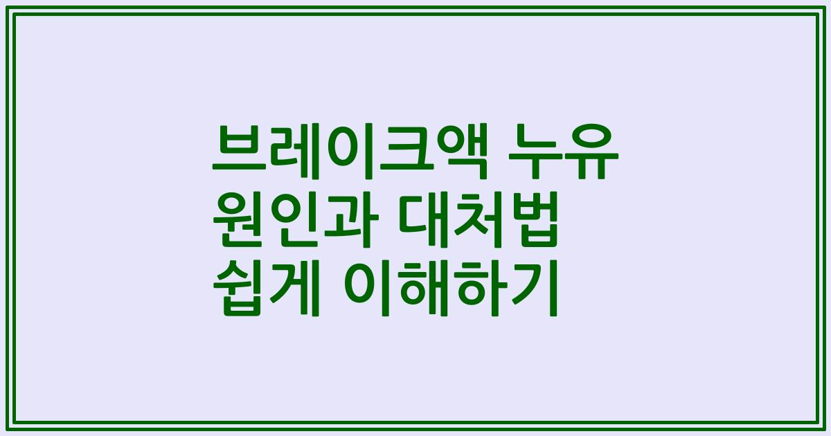 브레이크액 누유 원인과 대처법 쉽게 이해하기