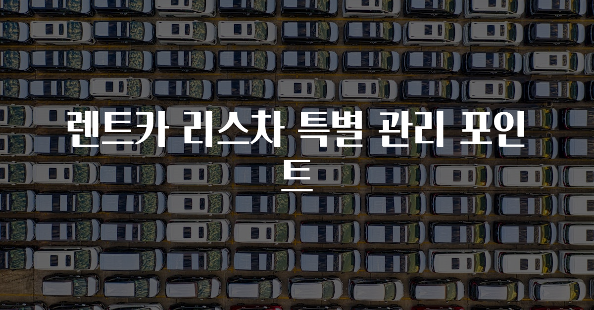 렌트카 리스차 특별 관리 포인트